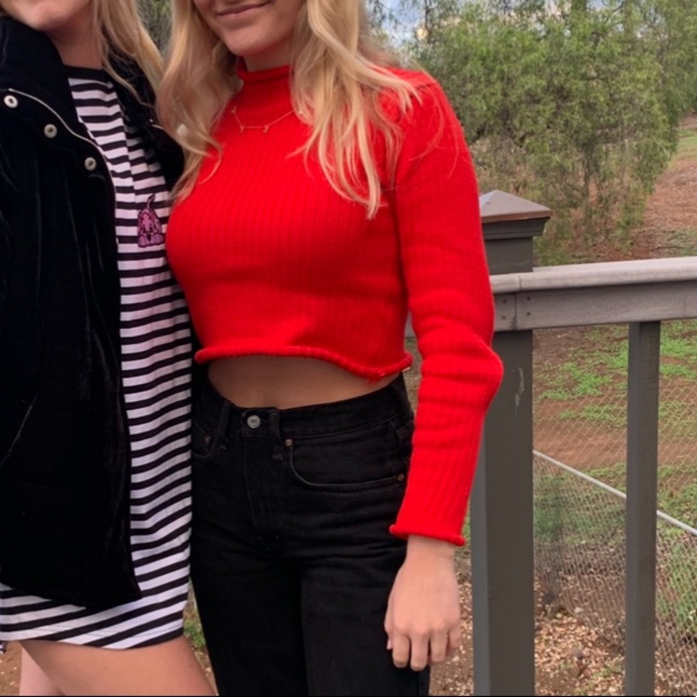 Cropped red ribbed turtle neck